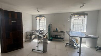 Alvorada anuncia a primeira Unidade de Saúde Animal da cidade