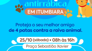 DIA D DE VACINAÇÃO ANTIRRÁBICA NESTE SÁBADO, DAS 8 ÀS 16 HORAS