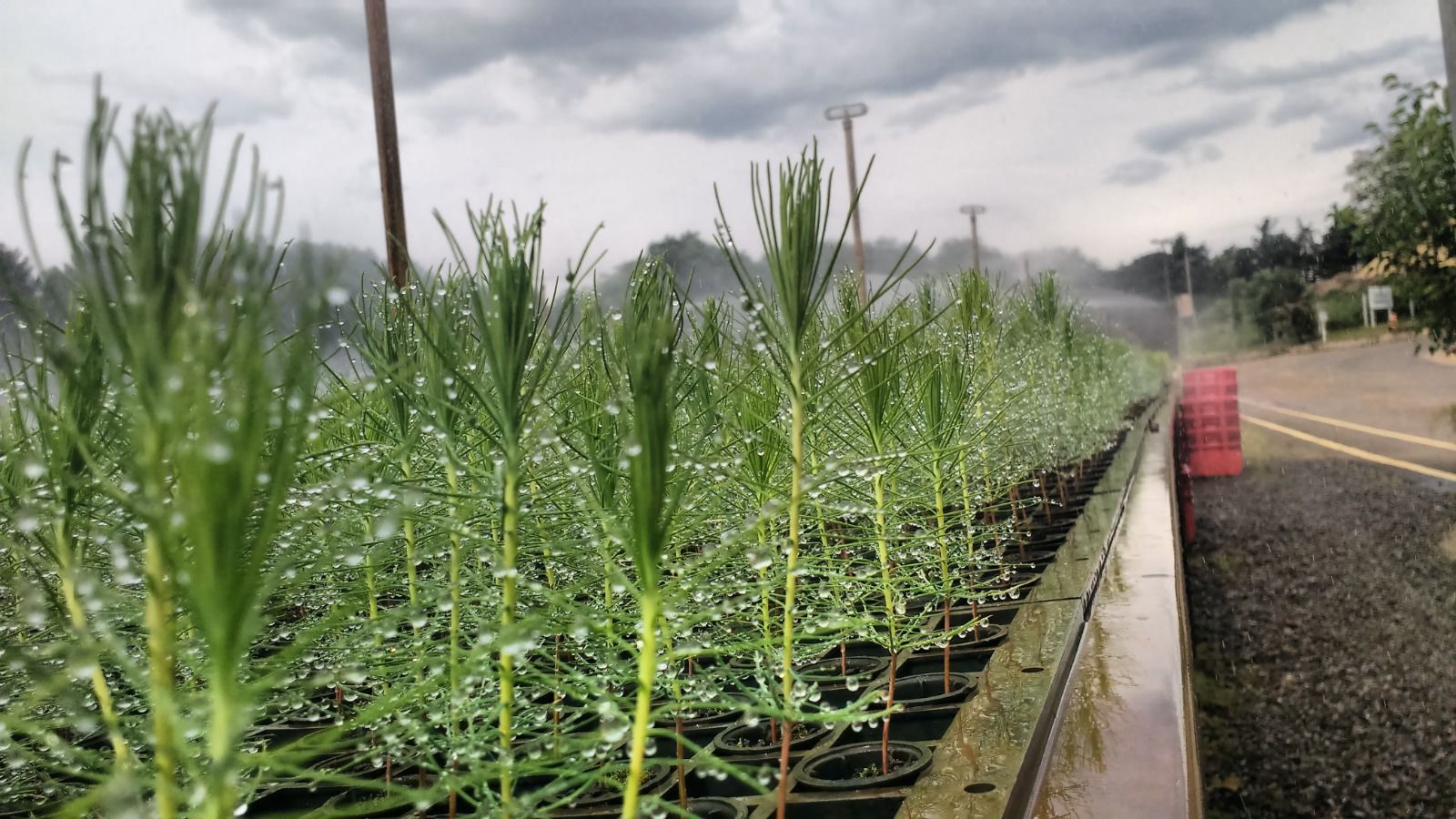 Prefeitura de Caçador lança roteiro piloto de Turismo Industrial e Científico -