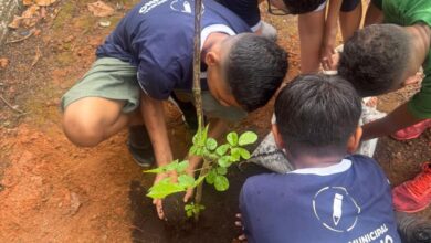‘Dias Verdes’ promove distribuição de 1.130 mudas e plantio de 30 árvores nativas